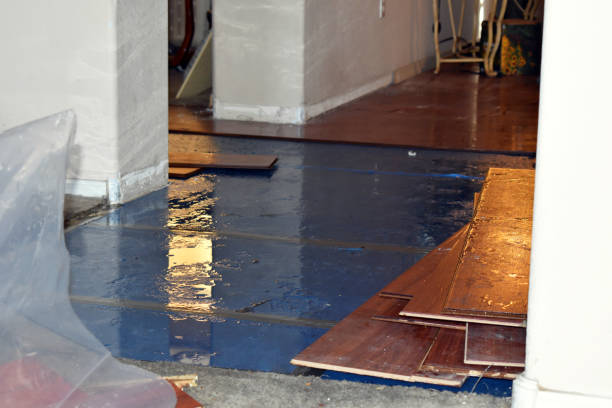 Professional Water Damage Restoration technician working in Forest Knolls, CA